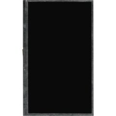 Codegen Speed 101 Lcd İç Ekran